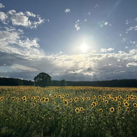 Urlaub Auf Dem Land Apartment Triepkendorf ภายนอก รูปภาพ